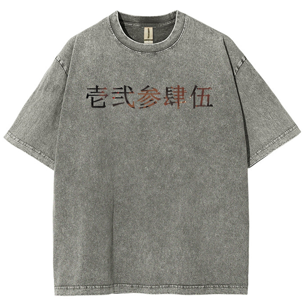 Unisex Fit Washed T-Shirt 2510005119