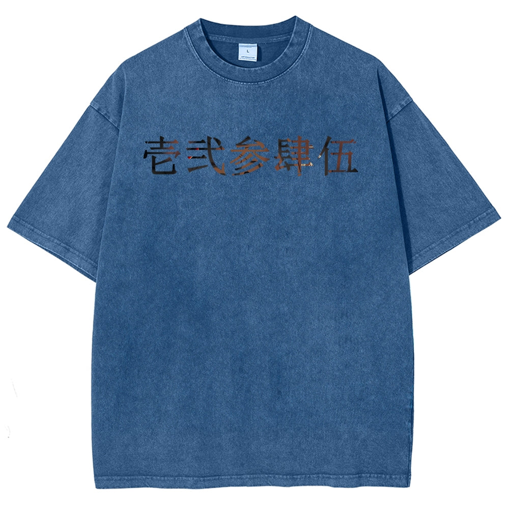 Unisex Fit Washed T-Shirt 2510005119