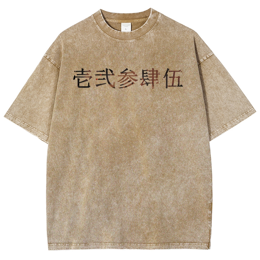 Unisex Fit Washed T-Shirt 2510005119