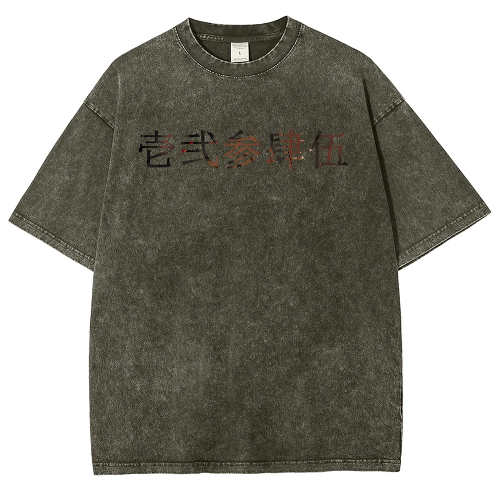 Unisex Fit Washed T-Shirt 2510005119