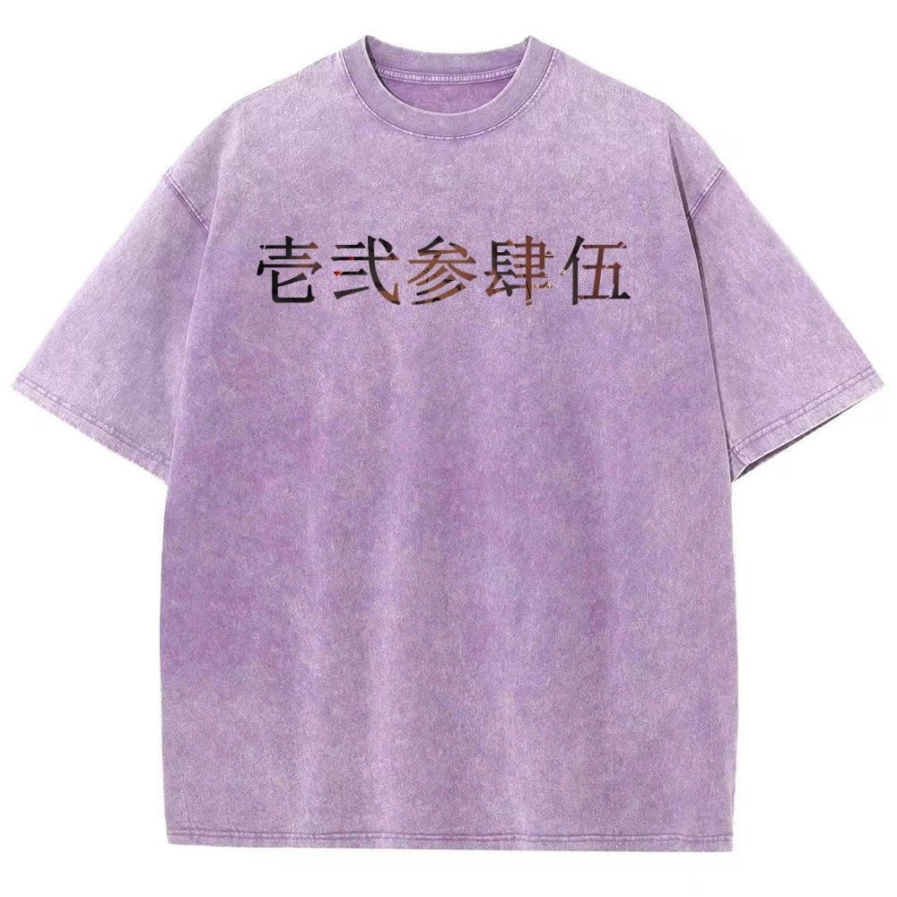 Unisex Fit Washed T-Shirt 2510005119
