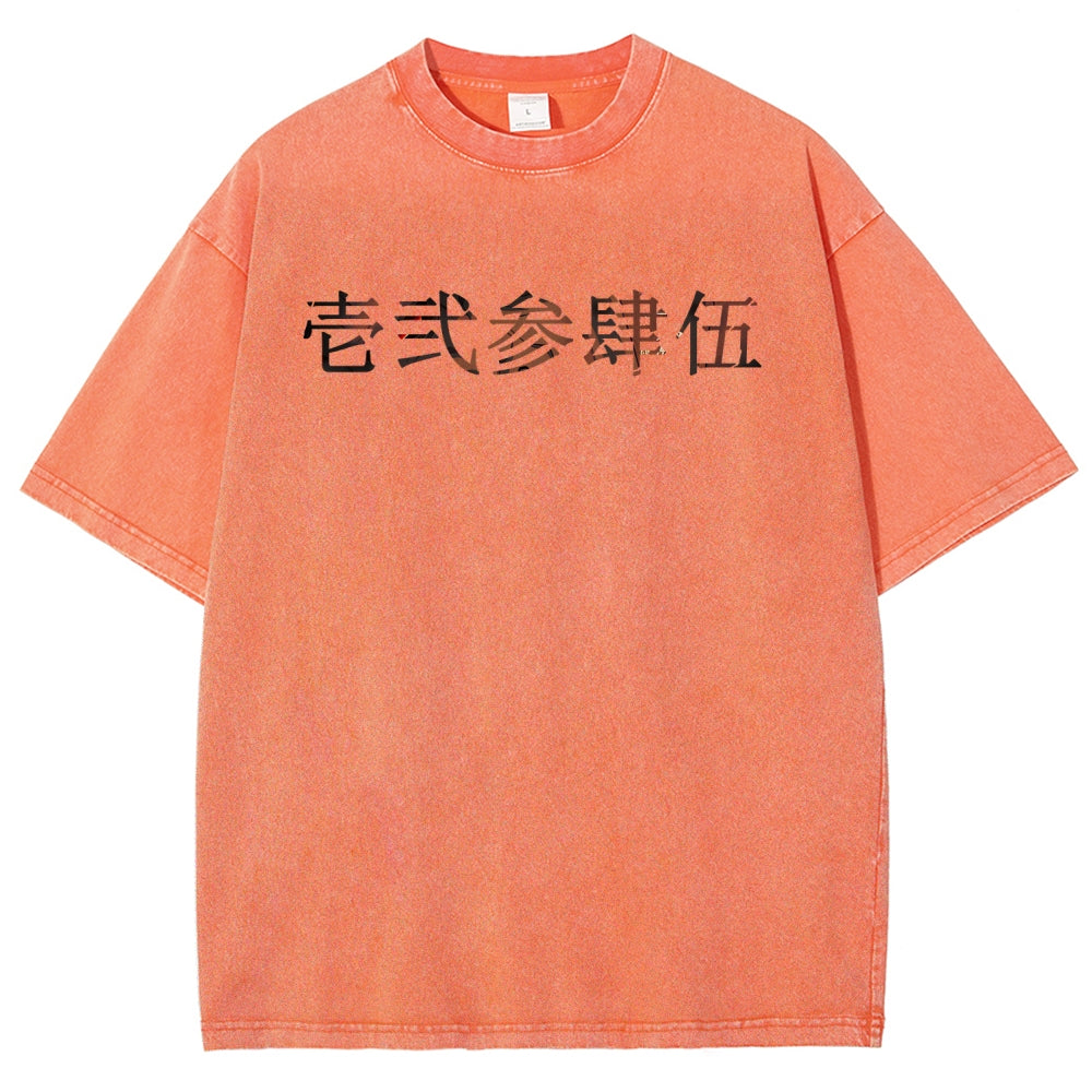 Unisex Fit Washed T-Shirt 2510005119