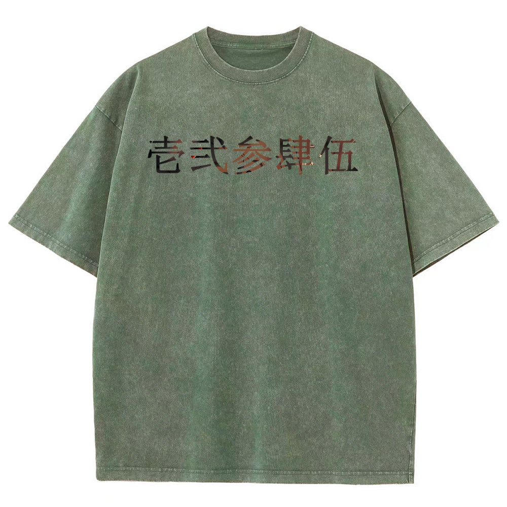 Unisex Fit Washed T-Shirt 2510005119