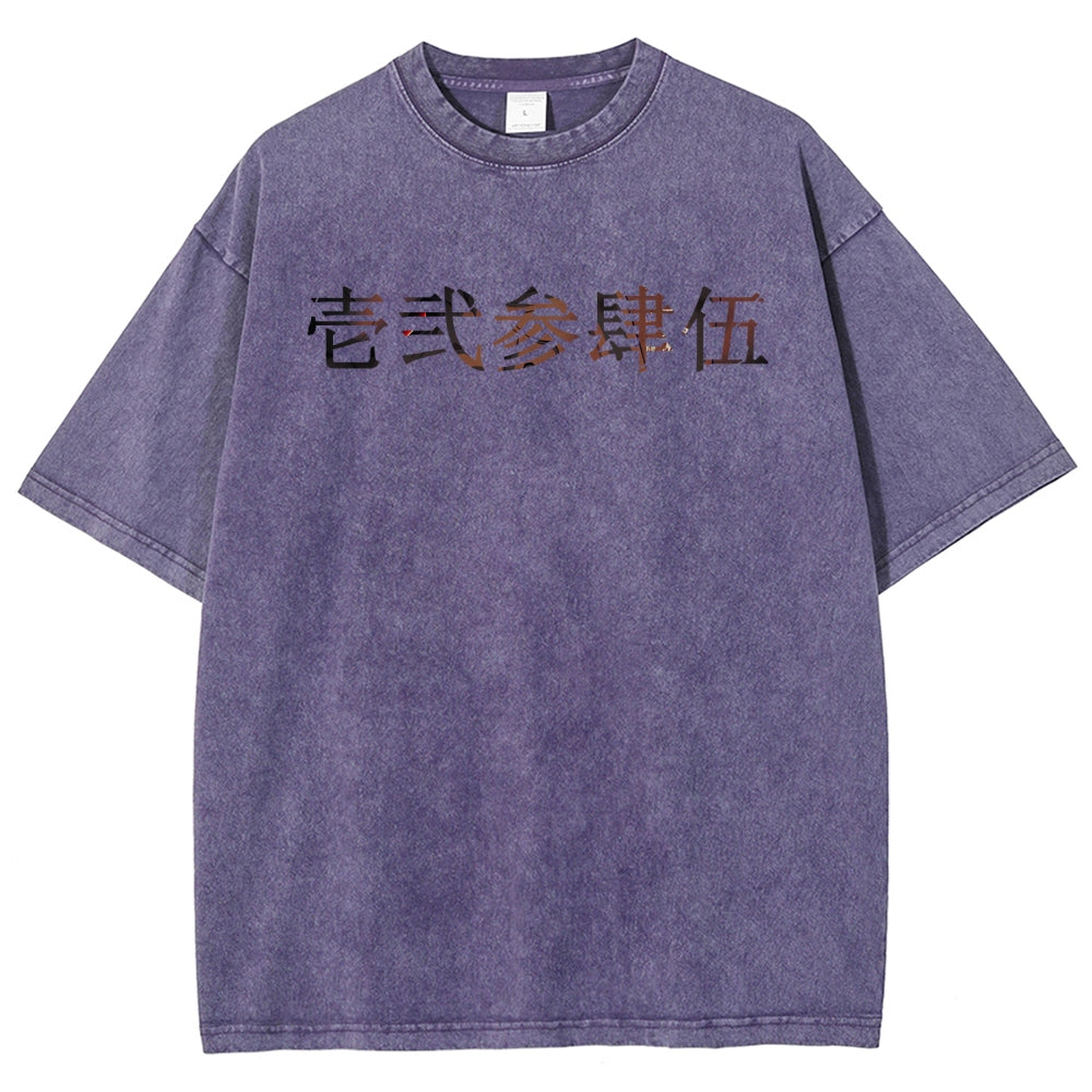 Unisex Fit Washed T-Shirt 2510005119