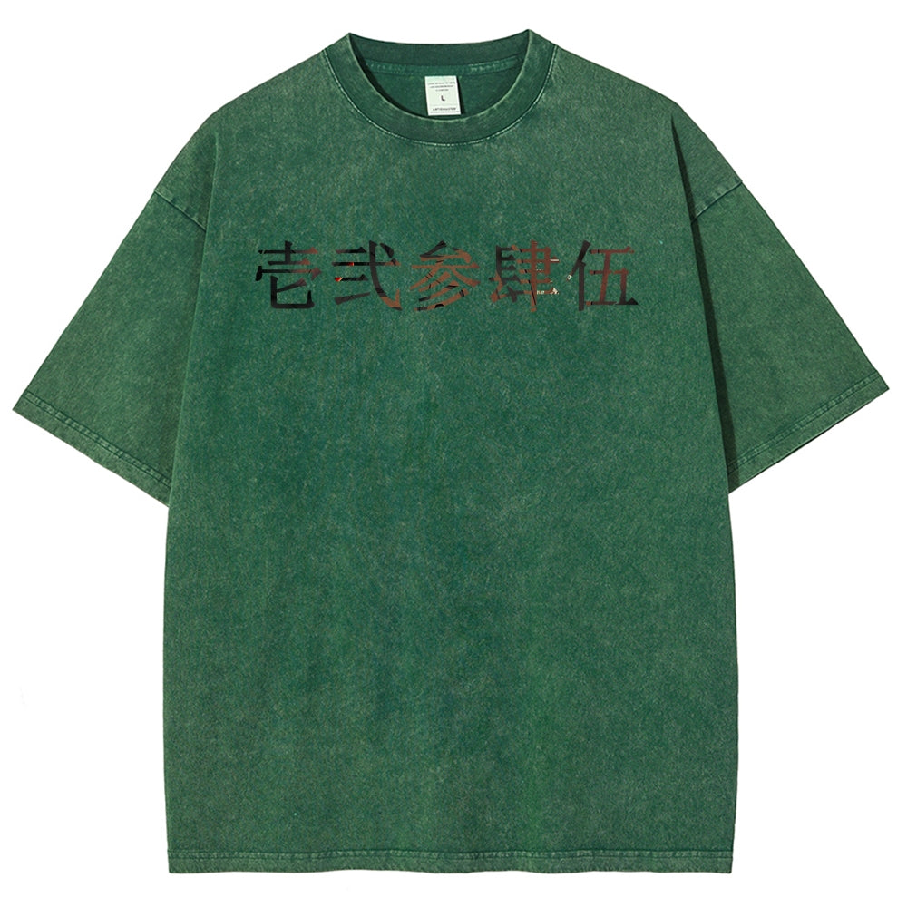 Unisex Fit Washed T-Shirt 2510005119